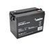 Акумуляторна батарея MERLION AGM 6 V 200Ah (GP6200)
