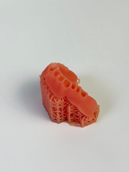 Фотополімерна стоматологічна смола LODDEN Denture Base, Pink, 0.5 кг. 2100000021291 фото