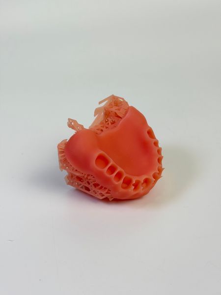 Фотополімерна стоматологічна смола LODDEN Denture Base, Pink, 0.5 кг. 2100000021291 фото